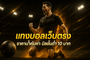 แทงบอลเว็บตรง